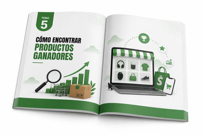 Guia Completa Dropshipping 2026